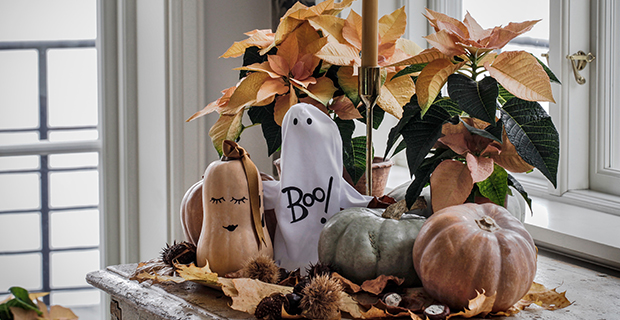 Vill du ha det lite spöklikt är en trevlig idé att måla dina egna spökpumpor. Foto: Åsa Myrberg